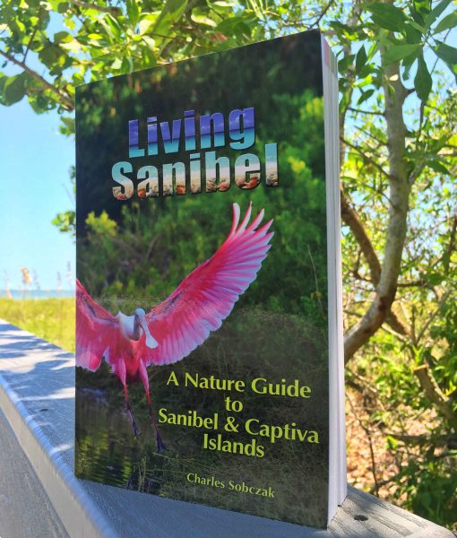 living-sanibel-book