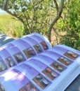 living-sanibel-book-shells